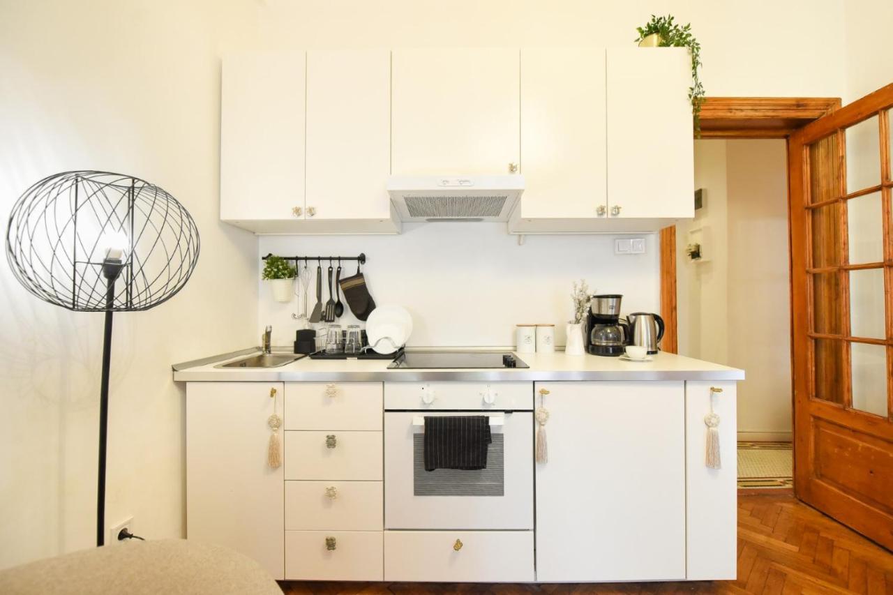 Vintage Elegance, Modern Comfort: 1Br Apartment Overlooking Calea Victoriei Bükreş Dış mekan fotoğraf