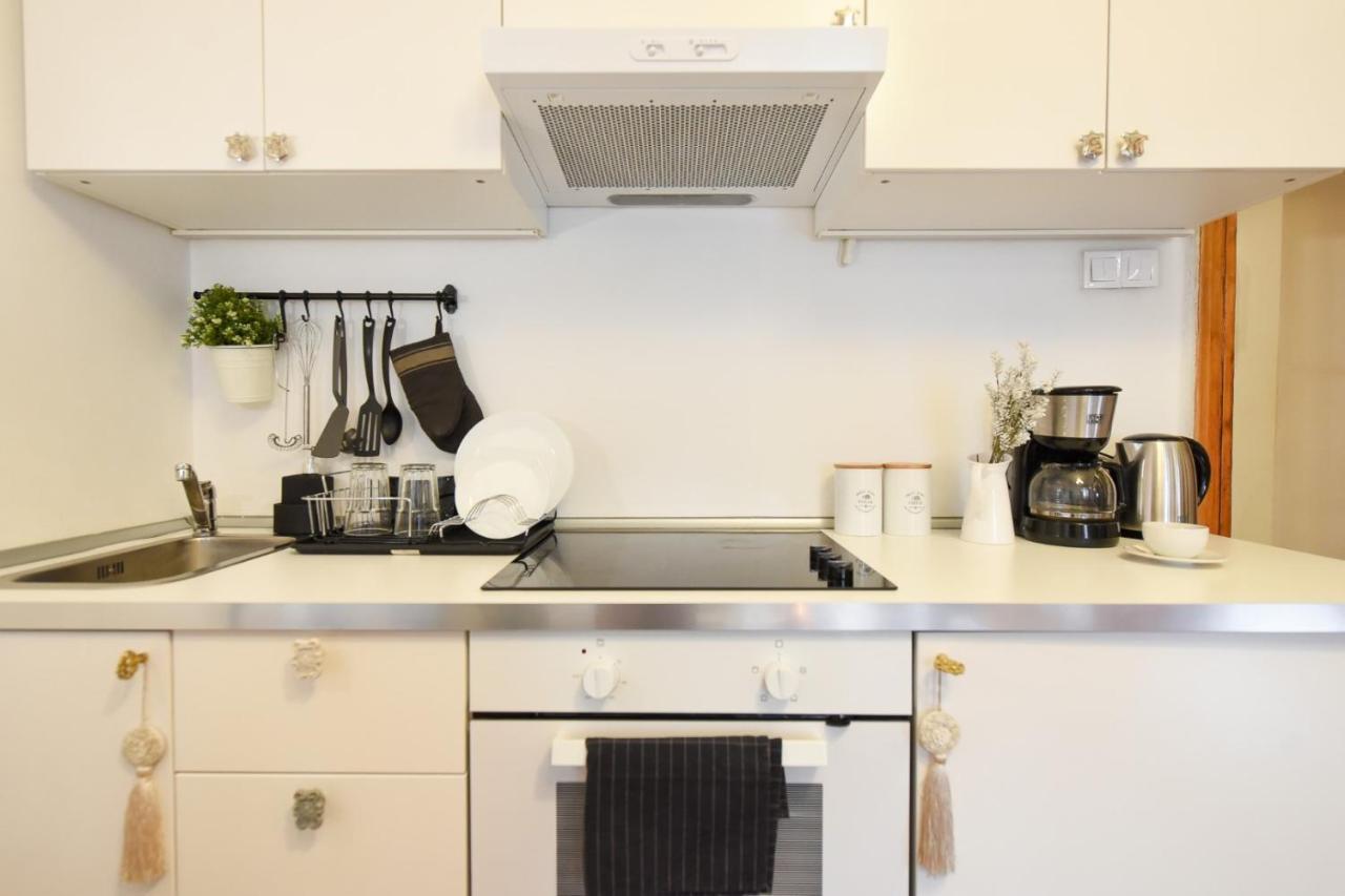 Vintage Elegance, Modern Comfort: 1Br Apartment Overlooking Calea Victoriei Bükreş Dış mekan fotoğraf